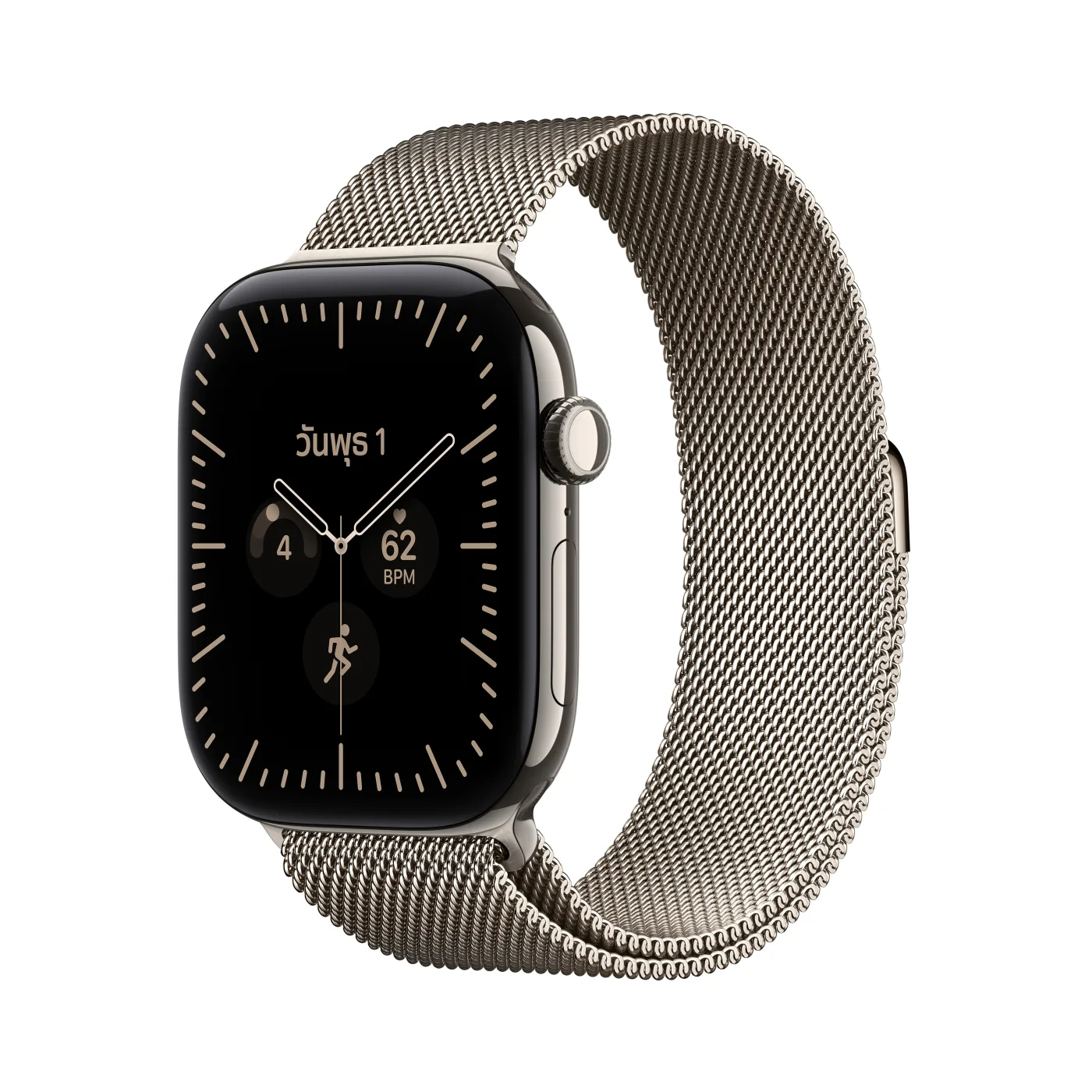 Apple Watch Series 12 สายแบบ Milanese Loop